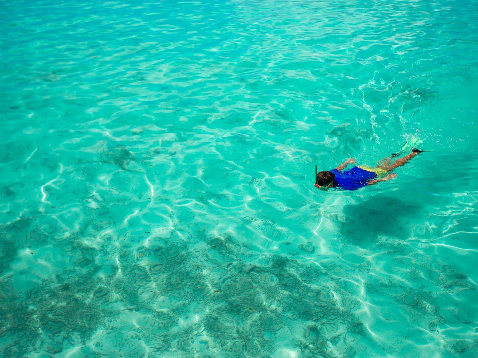 Snorkelling & Marine Discovery